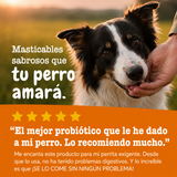 Probióticos