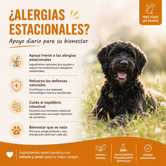 Alergias & Inmunidad