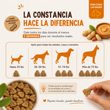 Alergias & Inmunidad