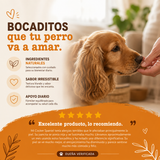 Alergias & Inmunidad