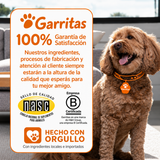 Probióticos