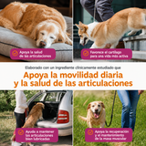 Cadera & Articulaciones