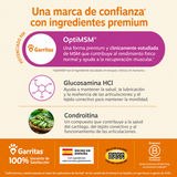 Cadera & Articulaciones