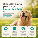 Calmantes