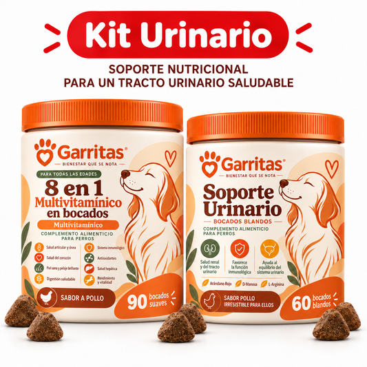 Kit Urinario