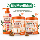 Kit Movilidad