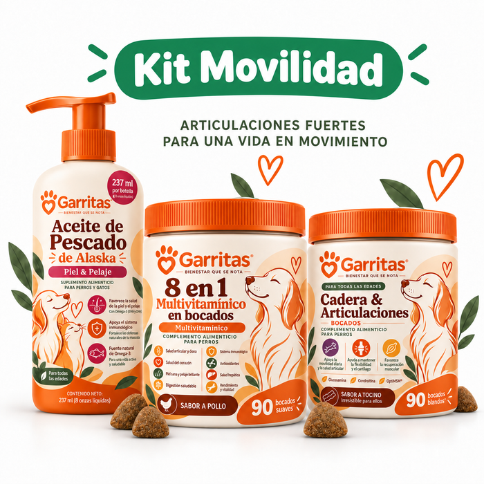 Kit Movilidad