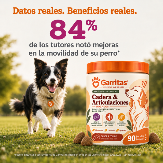 Cadera & Articulaciones